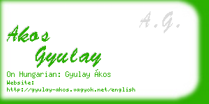 akos gyulay business card